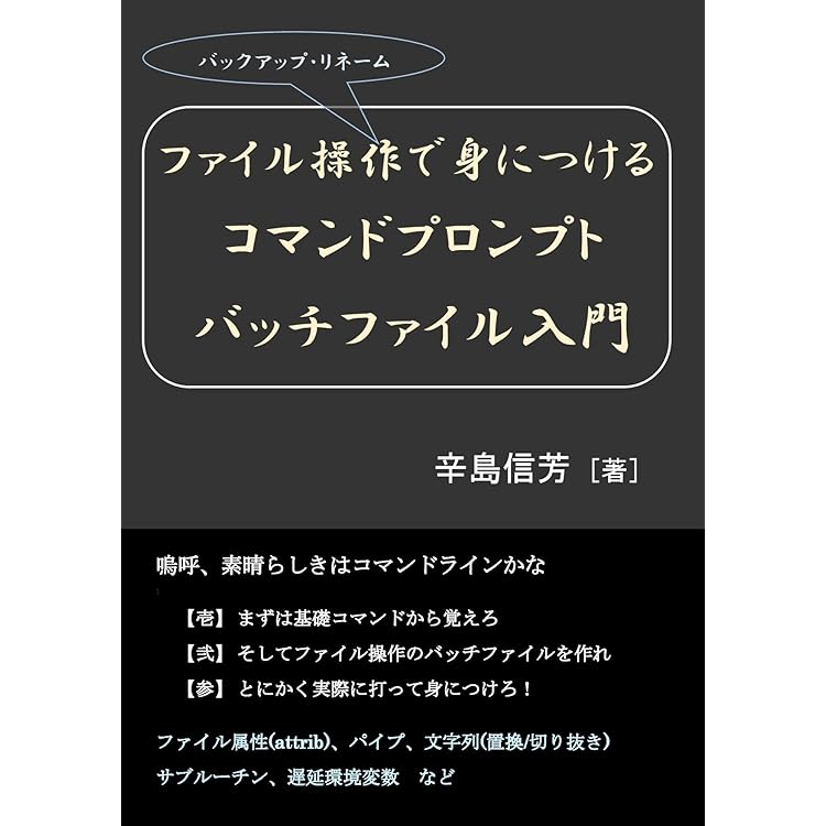 入門 MS-DOSバッチファイル パソコンを効率的に使いこなす簡易プログラム言語 入門MS-DOSバッチファイル: パソコンを効率的に使いこなす簡易